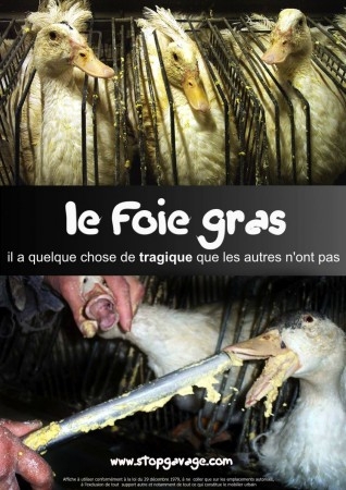 foie gras